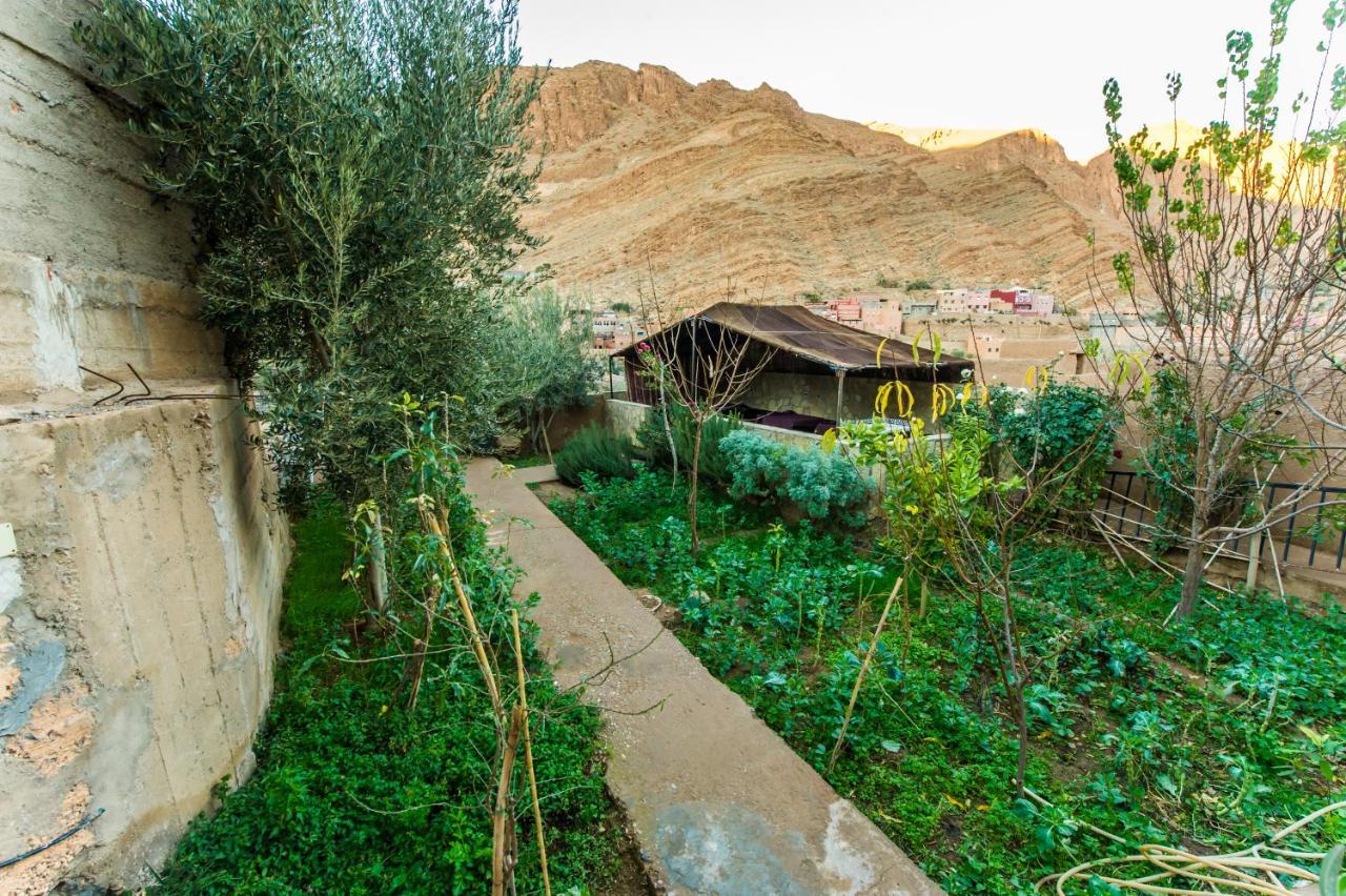 Les Jardins De Todgha Gorges De Todra Tinghir Hotell Aït Baha Exteriör bild